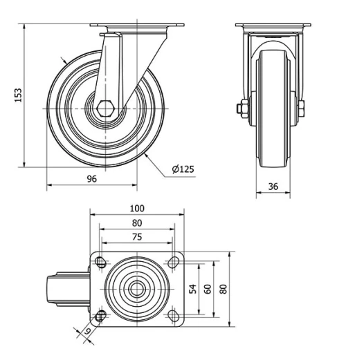 Datos técnicos TW0125